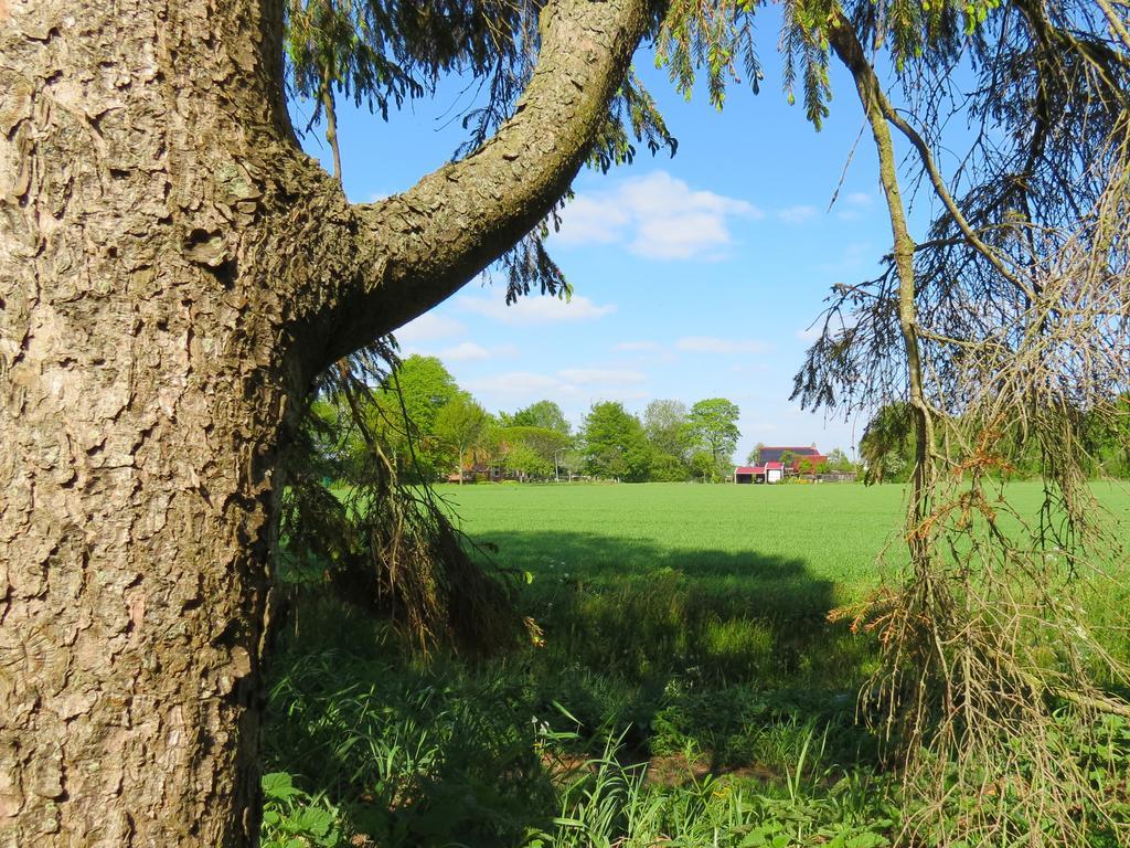 Gastenhuis De Veenstraal Gieterveen Zewnętrze zdjęcie