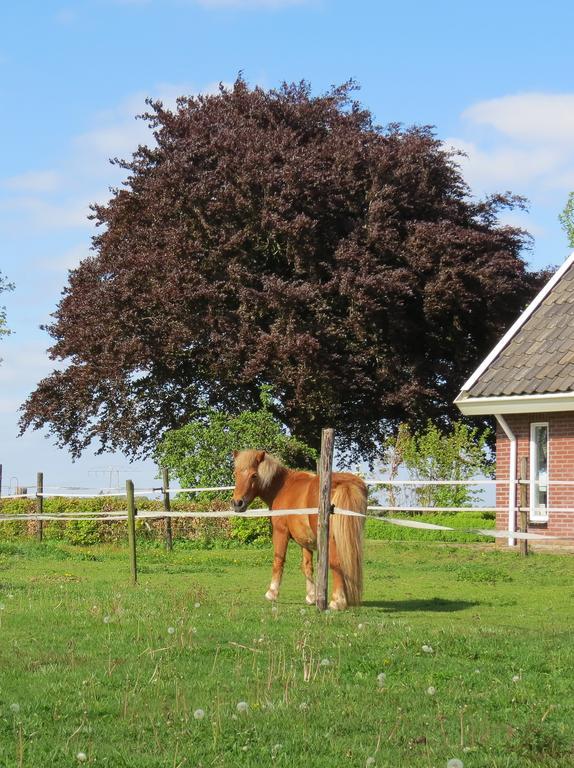 Gastenhuis De Veenstraal Gieterveen Zewnętrze zdjęcie